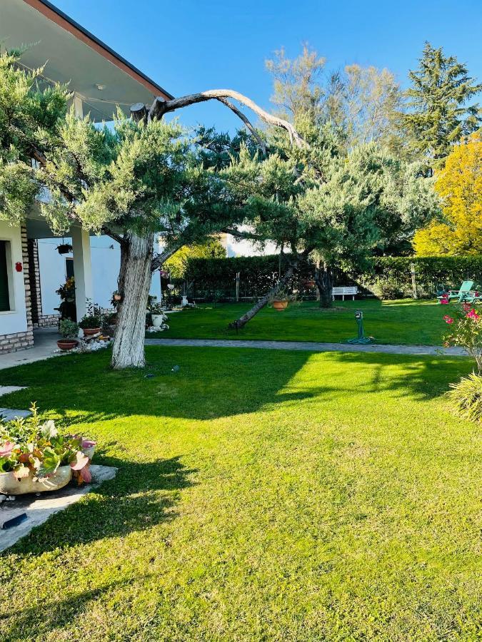 Villa Ruggiero The Loft Pedemonte ภายนอก รูปภาพ